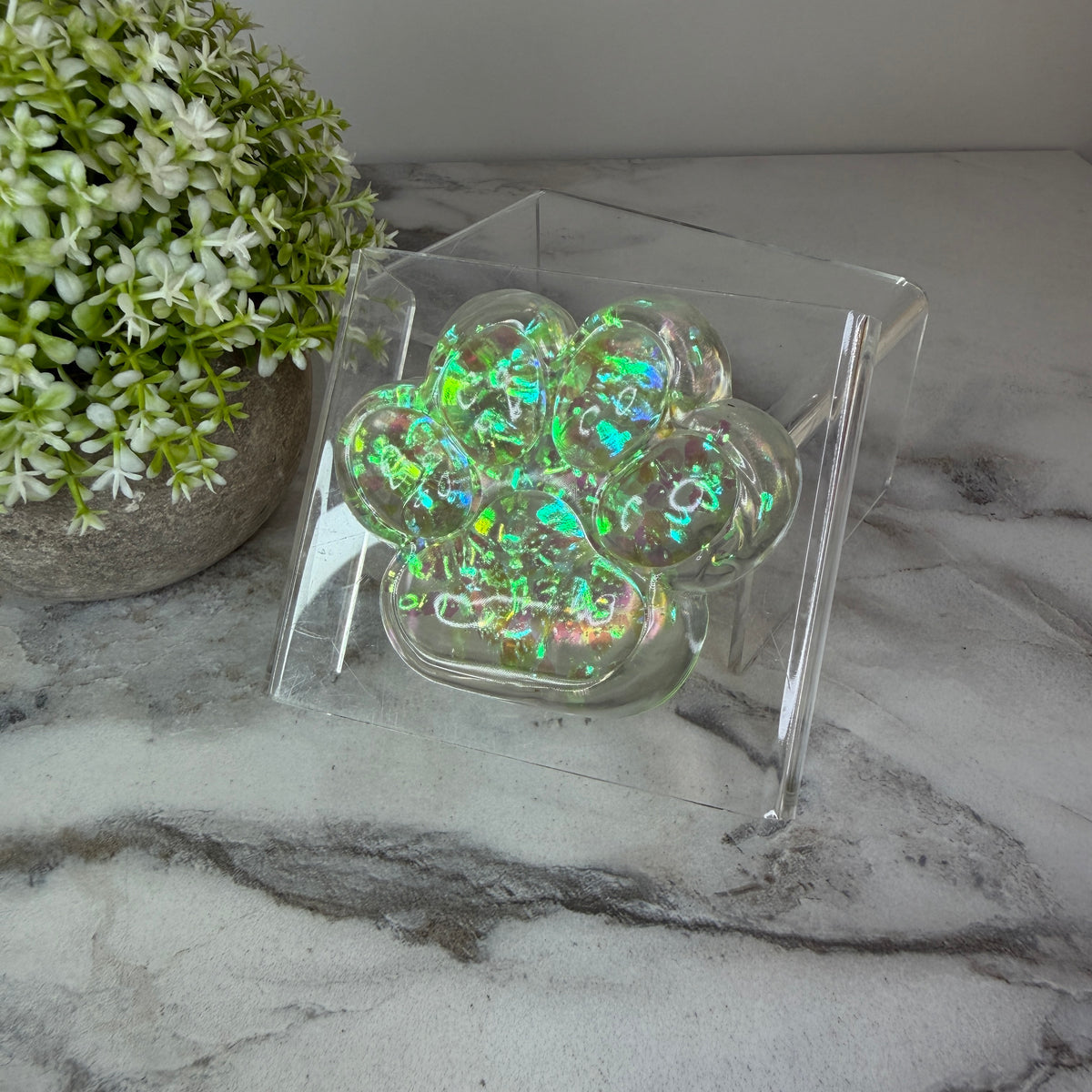 Glitter Paw Squishy Fidget